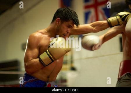 Two Boxers Sparring In Boxing Ring Stock Photo Alamy