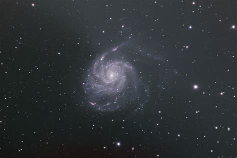 Supernova 2023 in M101 - Sky & Telescope - Sky & Telescope