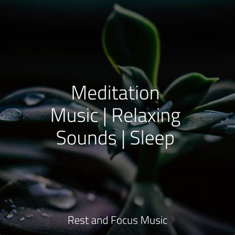 Meditation Music Relaxing Sounds Sleep By Musique Zen Garden On TIDAL