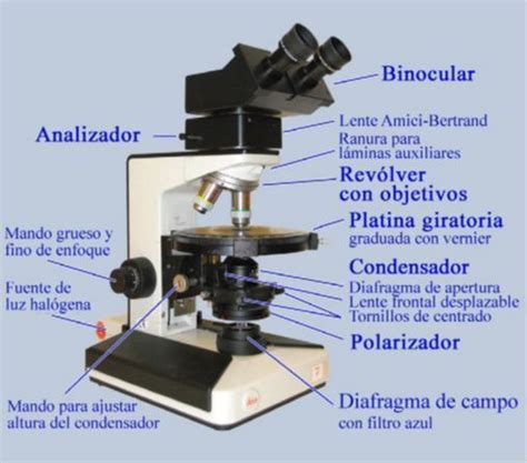 Microscopio De Luz Transmitida