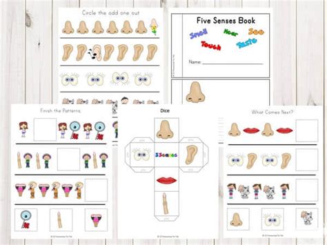 Free Five Senses Activities For Preschool Printable Worksheets