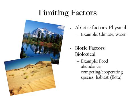 Limiting Factors Examples Biology