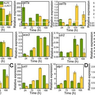 Qrt Pcr Analysis Of The Transcript Abundance Of Genes Relevant To