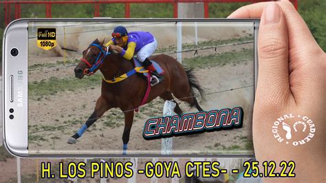 CHAMBONA Potrillos Debutantes H Los PInos Goya Ctes 25 12 22 YouTube