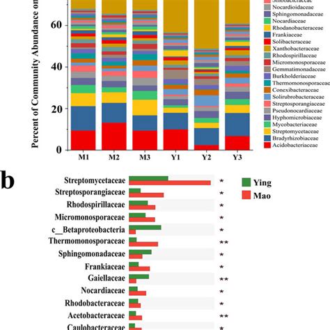 A Comparison Of Procaryotic Communities In The Rhizosphere A Download Scientific Diagram