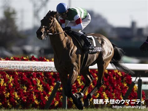 ディオスバリエンテ 競走馬データtop｜競馬予想のウマニティ