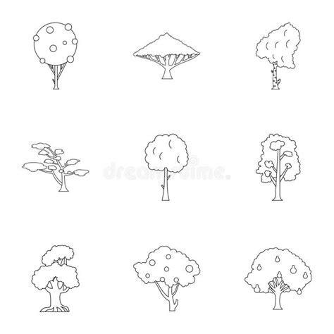 Iconos Arbóreos Fijados Estilo De La Planta Del Esquema Ilustración