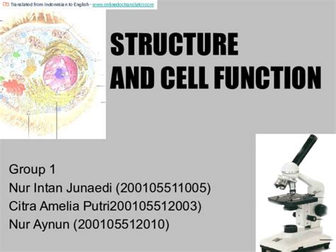 Ppt Kelompok 1 Struktur Dan Fungsi Sel Nur Intan