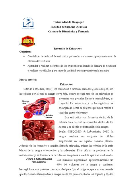 Recuento De Eritrocitos Universidad De Guayaquil Facultad De Ciencias