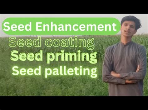 Seed Enhancement Technologies Seed Coating Priming Pelleting Seed