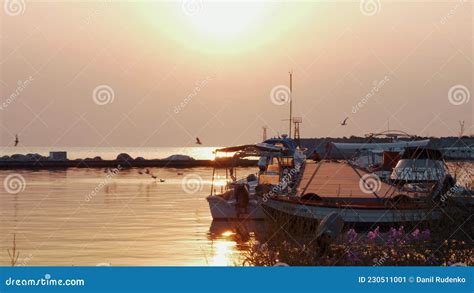 Marine Scene with Harbour and Sea-gulls at Sunset Stock Image - Image ...