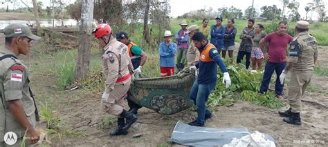 Mãe e filha morrem eletrocutadas após árvore cair e derrubar fio de