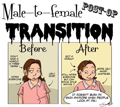 Phases Of Trans Meme