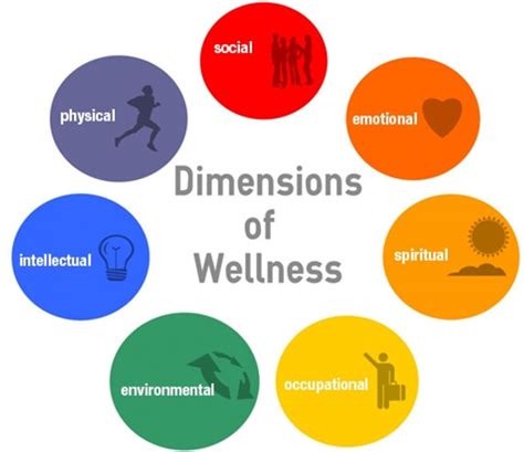 Wellness Wheel