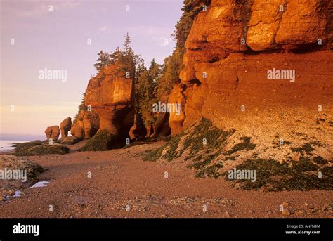 Hopewell Rocks Provincial Park With Distinctive Eroded Rock Formations