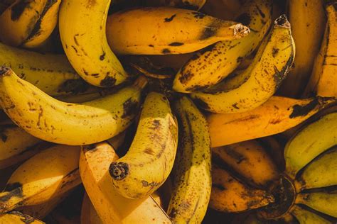 Veja O Que As Cascas De Bananas Podem Fazer Na Sua Horta Portal Atualizei