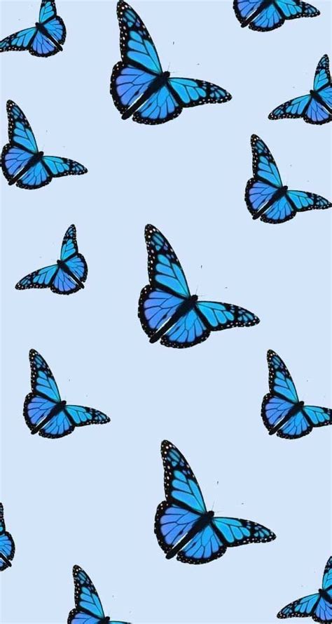 Cool Aesthetic Tumblr Blue Butterfly Wallpaper Aesthetic Download Free Mock Up