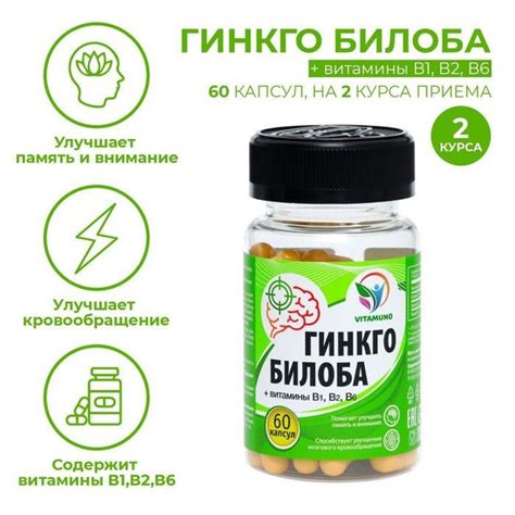 Гинкго Билоба Ангио, 60 капсул по 500 мг - купить с доставкой по ...
