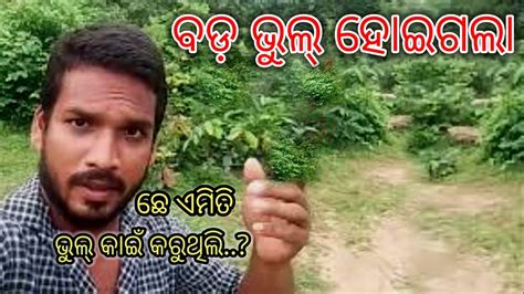 ଆପଣଙ୍କର Yotube ଚ୍ୟାନେଲ୍ ଯଦି ଅଛି ମୋ ଭଳି ଭୁଲ୍ କେବେ କରିବେନିodia Vlog