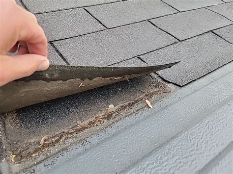 Common Causes Of Roof Leaks