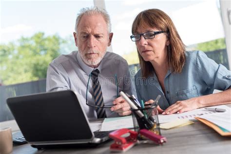 Two Mature Business People Working Together Stock Photo Image Of