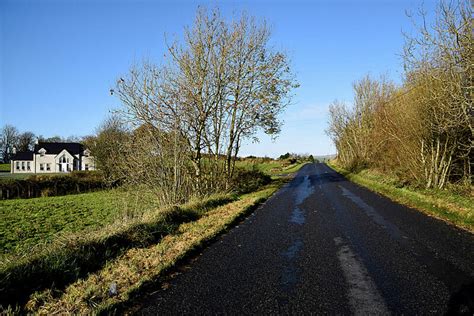 Trees Along Racolpa Road Kenneth Allen Cc By Sa Geograph Ireland