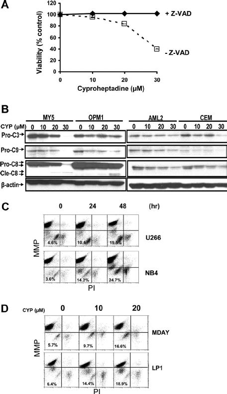 Cyproheptadine Inhibits Growth Of Leukemia And Myeloma Cells In Mouse