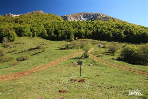 Galičica National Park | There is a national park on North M… | Flickr