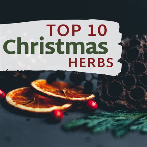 Top Christmas Herbs And Spices Delishably