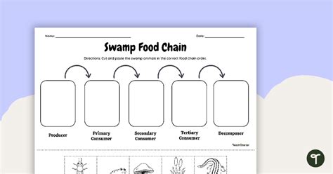 Swamp Food Chain Cut And Paste Worksheet Teach Starter