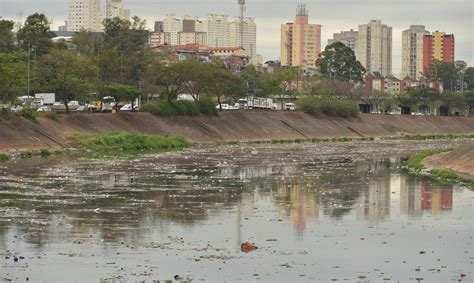 Como combater ameaças e preservar as várzeas do Rio Tietê