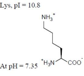 Solved Lys PI 10 8 NH3 At PH 7 35 H3N COO Chegg