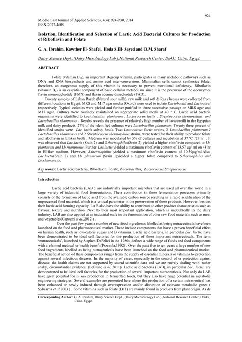 Isolation Identification And Selection Of Lactic Acid Bacterial