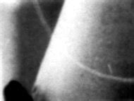 Naked Sandra Pohl In Pulsar