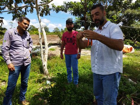 Semagri Orienta Produtores Na Asprep T Cnicas De Manejo Para