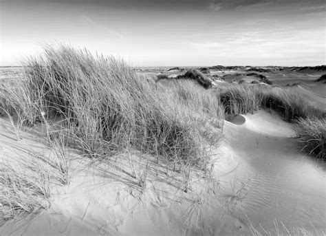 Black Friday Papermoon Fototapete Landschaft Schwarz Wei Baur