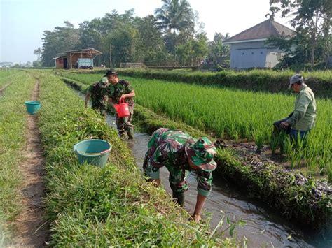 Karya Bhakti Babinsa Kedungkandang Bantu Petani Bersihkan Saluran