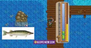 How to Catch Stardew Valley Pike Fish, Location, Difficulty, Seasons ...