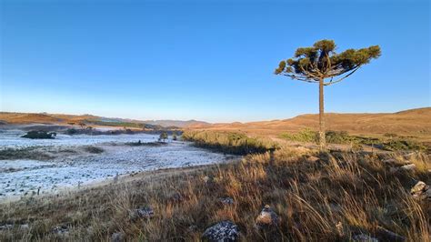 Serra de SC amanhece 2 3ºC e geada FOTOS Santa Catarina G1