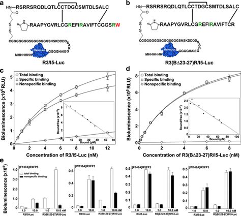 Novel Bioluminescent Tracers For Receptor Binding Assays A Schematic Download Scientific