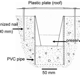 Cross Section Of Non Baited Kill Pitfall Trap KNB Design Used During