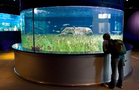 Custom Flat Back Hexagon Aquarium By Seaquatic Aquariums