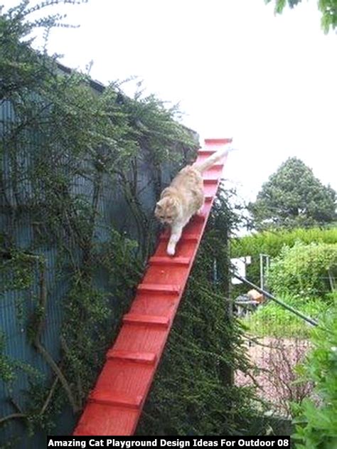 Amazing Cat Playground Design Ideas For Outdoor Sweetyhomee