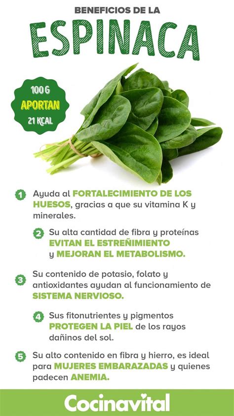 Beneficios De La Espinaca Que Te Harán Comerla Diario Healthy