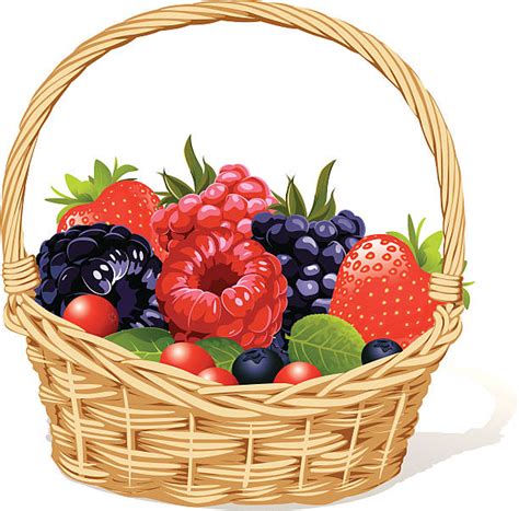 140+ Blackberries Basket Stock Illustrations, Royalty-Free Vector ...