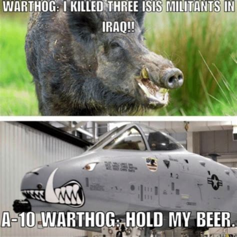 Best A-10 Warthog Memes New Thunderbolt ii Funny Military Humor Brrrrt