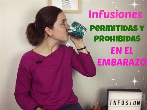 Oregano Es Seguro Consumir Durante El Embarazo Actualizado