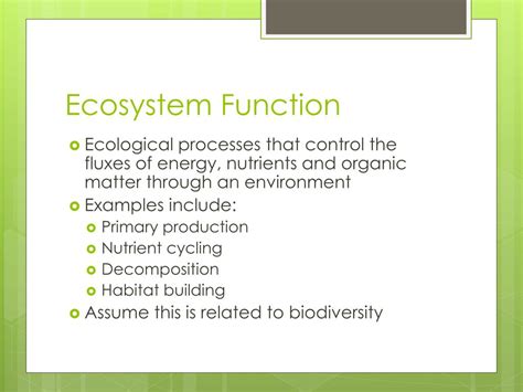 Ppt Biodiversity And Ecosystem Function Powerpoint Presentation Free