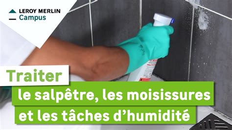 Comment traiter le salpêtre les moisissures et les taches d humidité