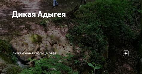 Дикая Адыгея | Литературная столица- Орёл | Дзен